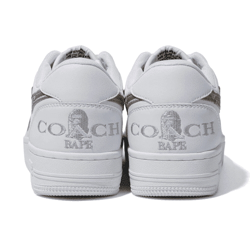 BAPESTA x Coach Shoes
